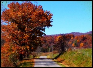 This road runs by my farm. Not a bad place to run, huh?