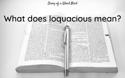 What does loquacious mean?
