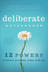 NEWDeliberateMotherhood