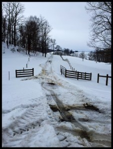 The gate onto my farm.  Happy trails!