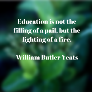 Education fire