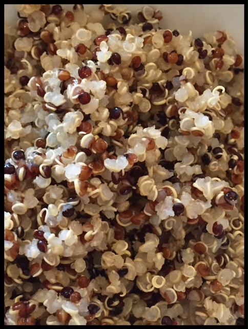 This is quinoa, a complete protein grain that is a lovely addition to any vegetarian diet.