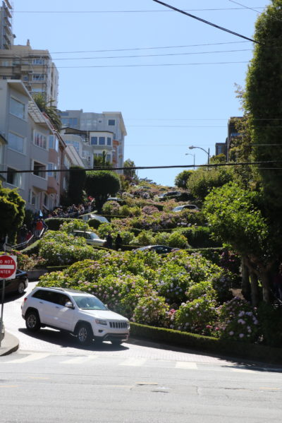 The crookedest street in San Fran - people actually live on it!