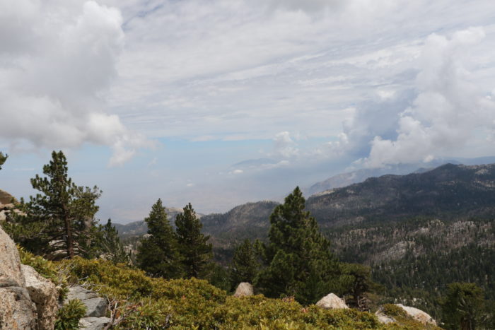 Mt. San Jacinto