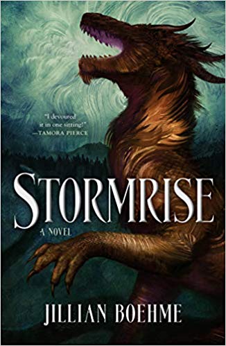 STORMRISE book cover