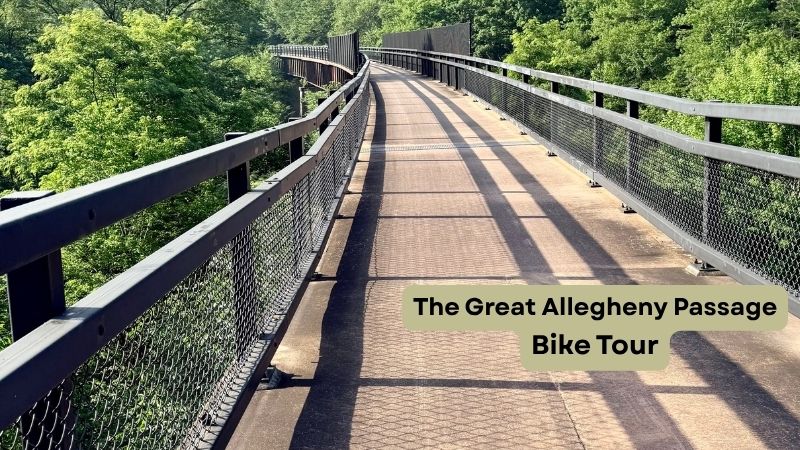 Bridge on Great Allegheny Passage