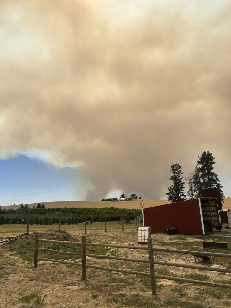 A view of Spokane fire smoke plumes from Mead, WA